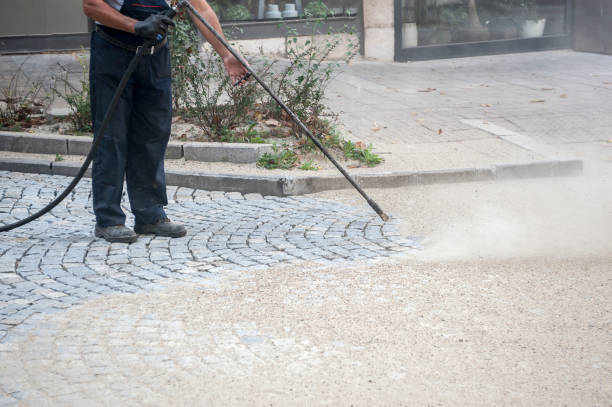 Best Gutter Cleaning  in , CO