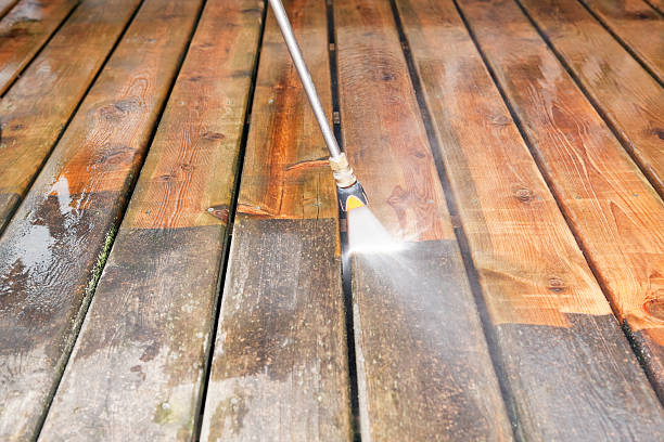 Best Dumpster Area Cleaning  in , CO